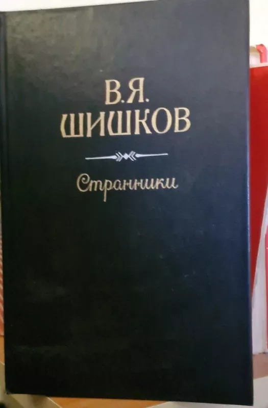 Странники - В. Шишков, knyga