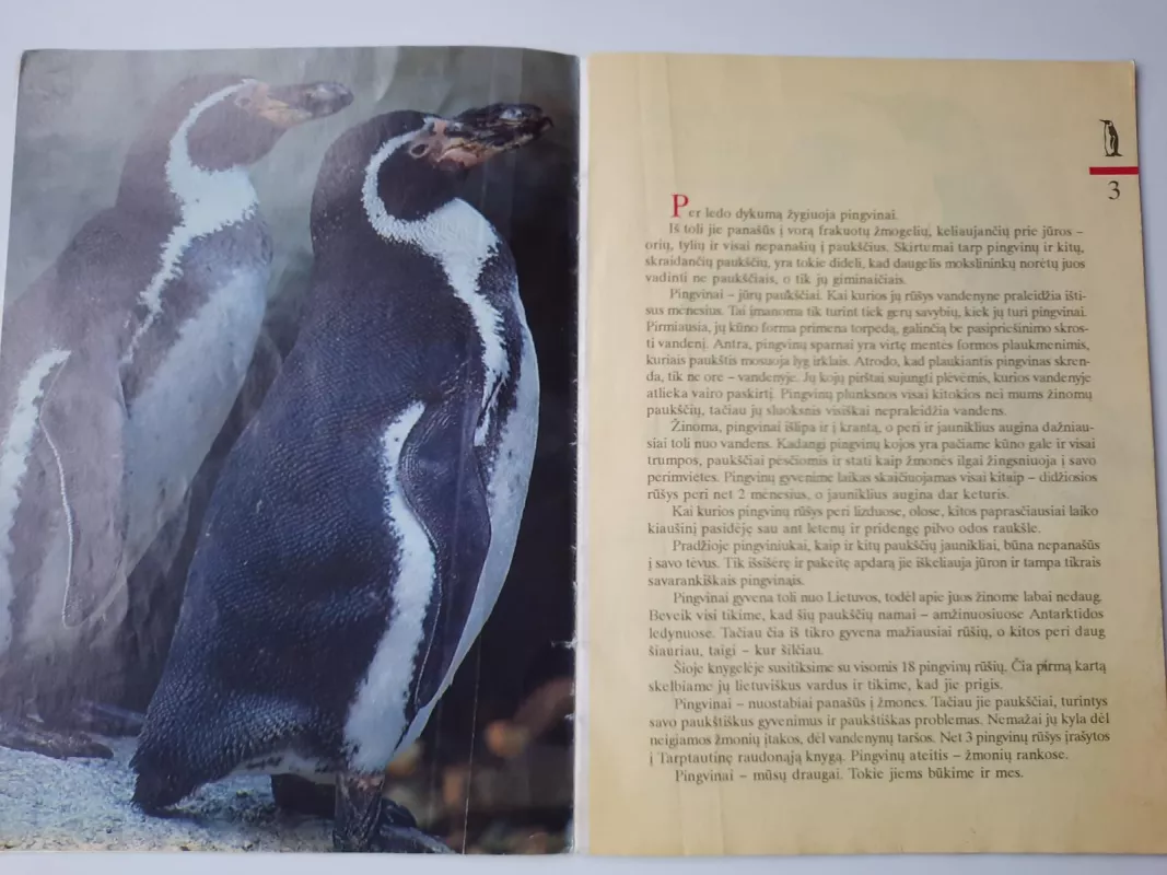 Mūsų draugai pingvinai - Selemonas Paltanavičius, knyga