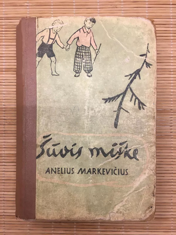 Šūvis miške - Anelius Markevičius, knyga