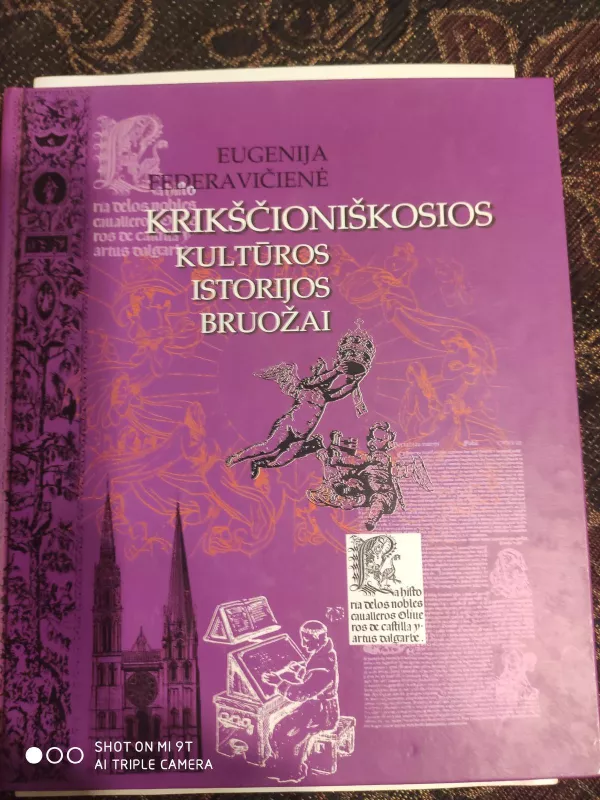 Krikščioniškosios Kultūros Istorijos bruožai - Eugenija Federavičienė, knyga