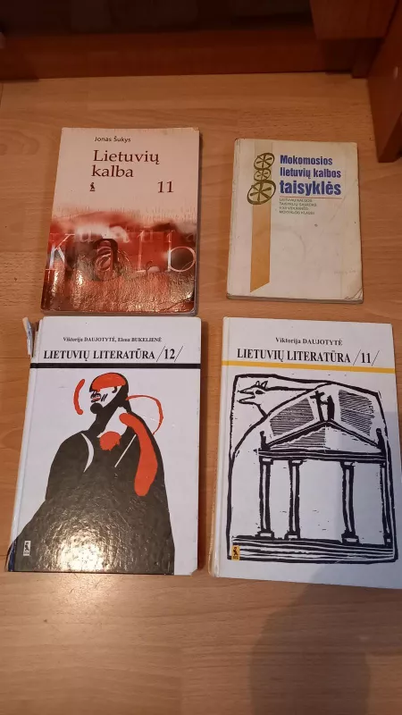 Lietuvių literatūra 11 klasei - Viktorija Daujotytė, knyga