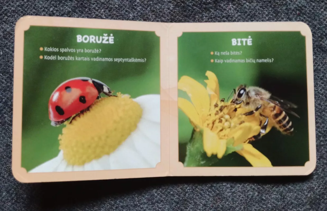 Vabzdžiai - Autorių Kolektyvas, knyga