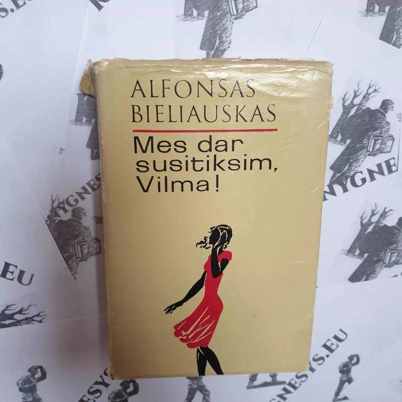 Mes dar susitiksim, Vilma! - Alfonsas Bieliauskas, knyga