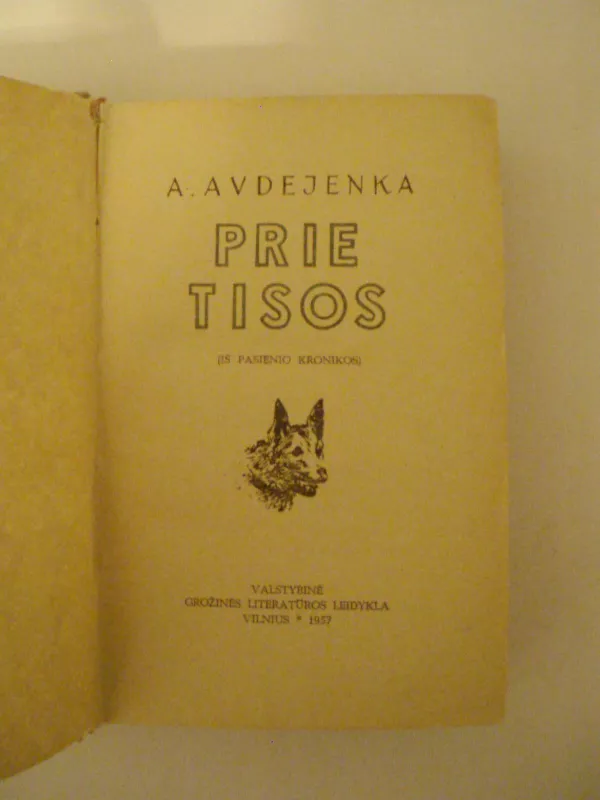Prie Tisos - A. Avdejenka, knyga