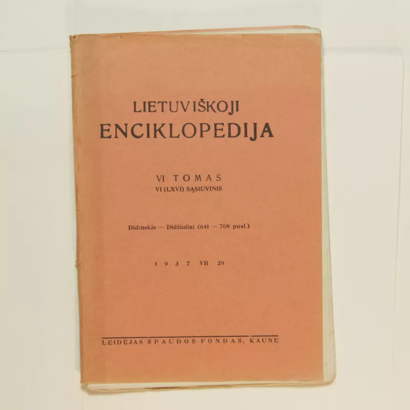 Lietuviškoji enciklopedija (VI tomas VI sąsiuvinis) - Vaclovas Biržiška, knyga