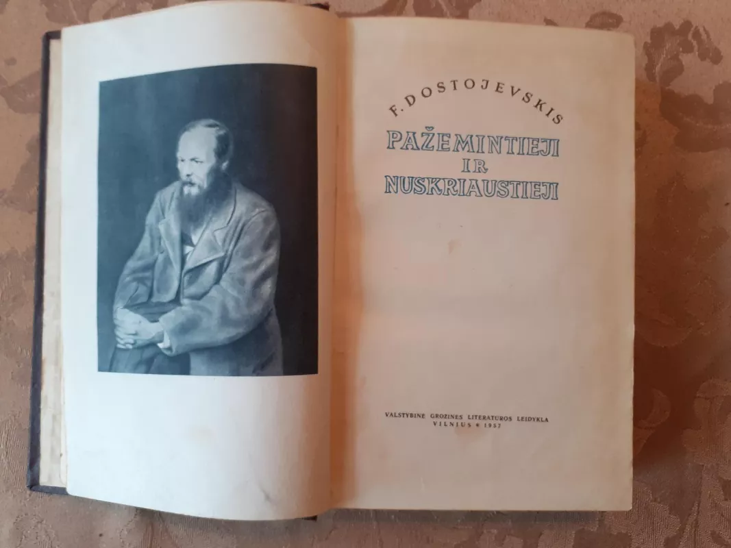 Pažemintieji ir nusmerktieji - Fiodoras Dostojevskis, knyga