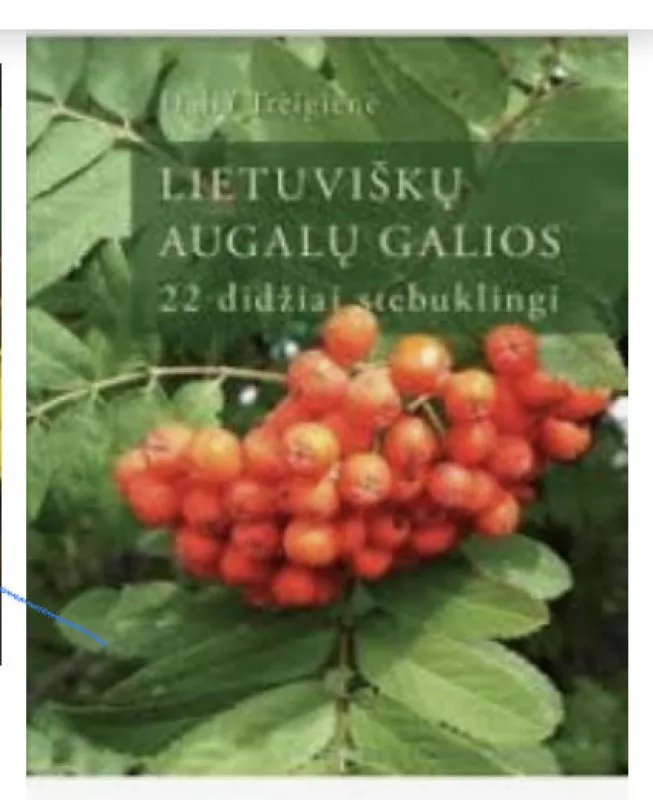 Lietuviškų augalų galios: 22 didžiai stebuklingi - Dalia Treigienė, knyga