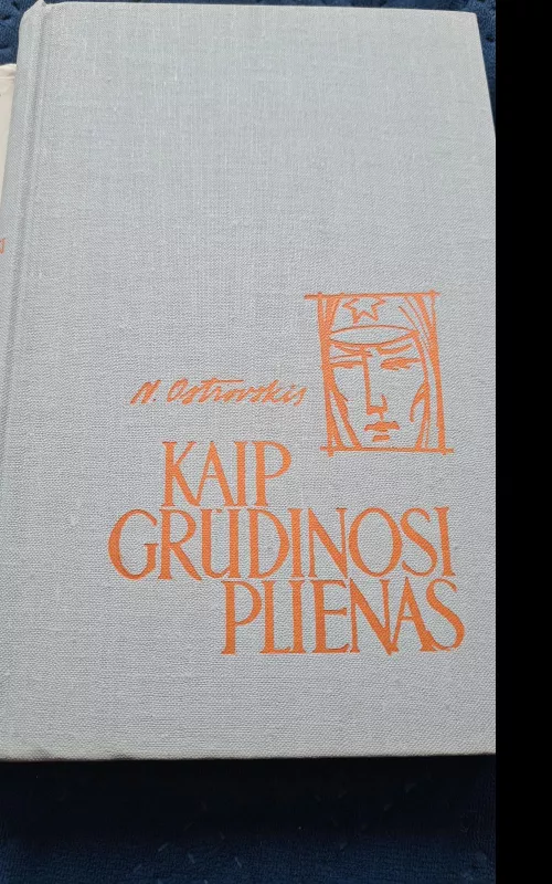 Kaip grūdinosi plienas - Nikolajus Ostrovskis, knyga