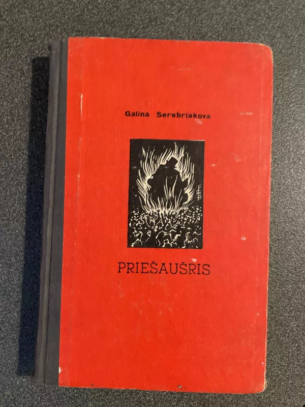 Priešaušris - G.I. Serebriakova, knyga
