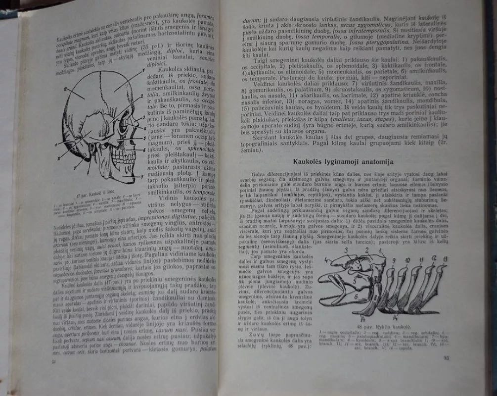 Normaliosios žmogaus anatomijos vadovėlis (I tomas) - V.N. Tonkovas, knyga