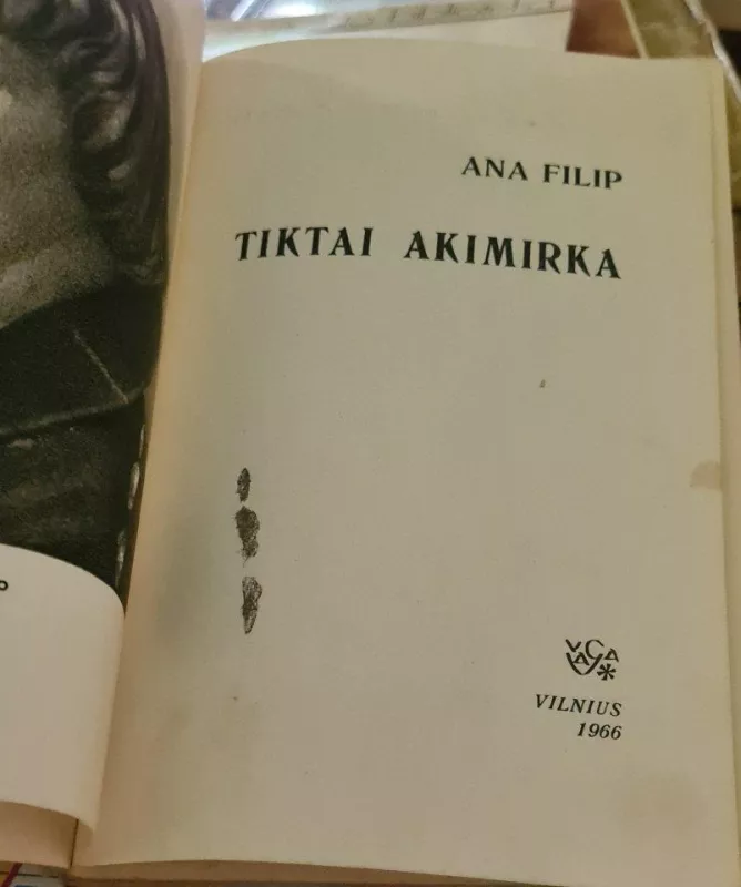 Tiktai akimirka - Ana Filip, knyga