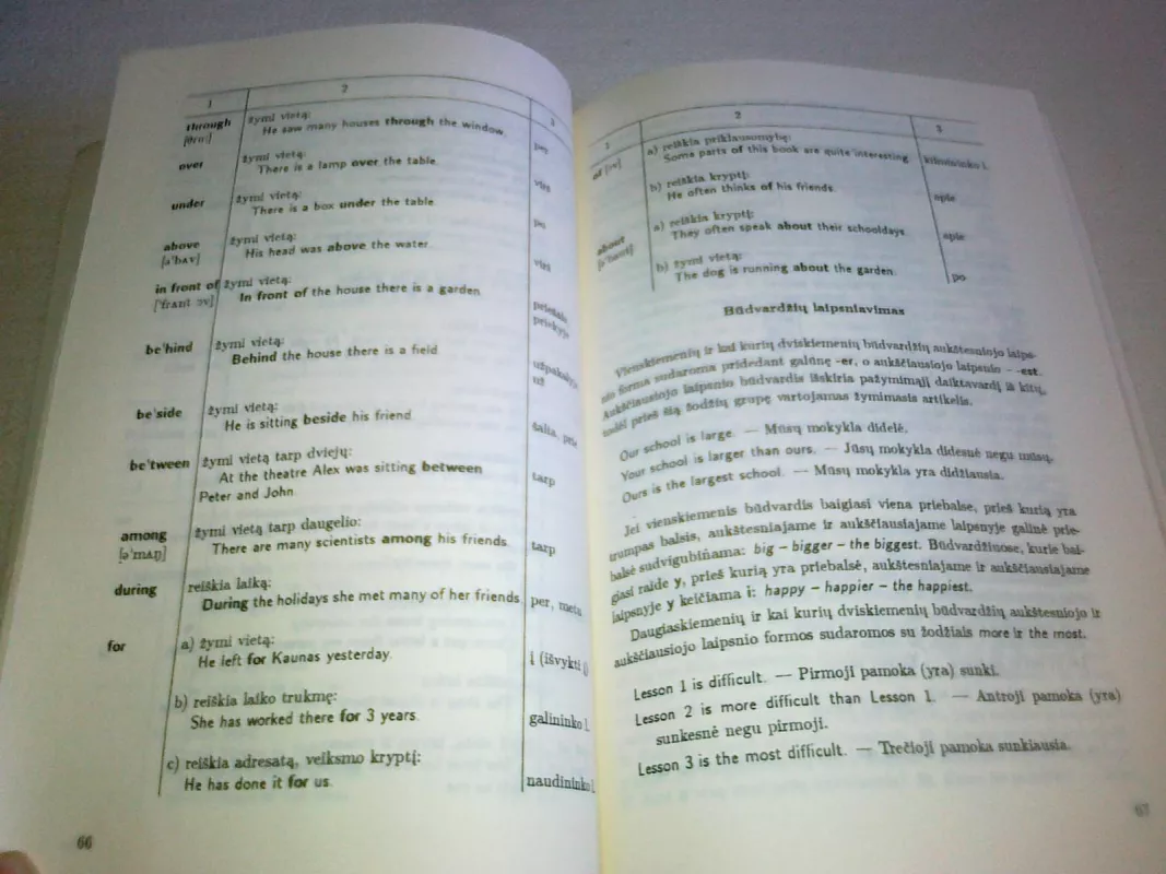 Intensyvus anglų kalbos pagrindinių žinių kartojamasis kursas - R. Aprijaskytė, L.  Pažūsis, knyga