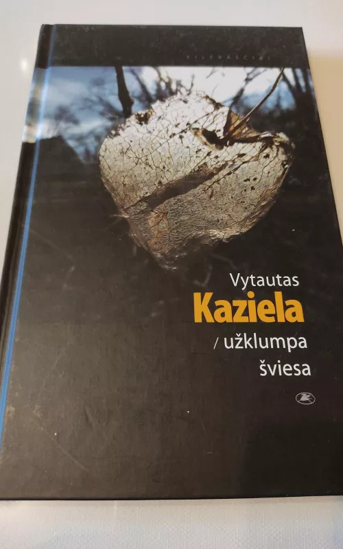Užklumpa šviesa - Vytautas Kaziela, knyga