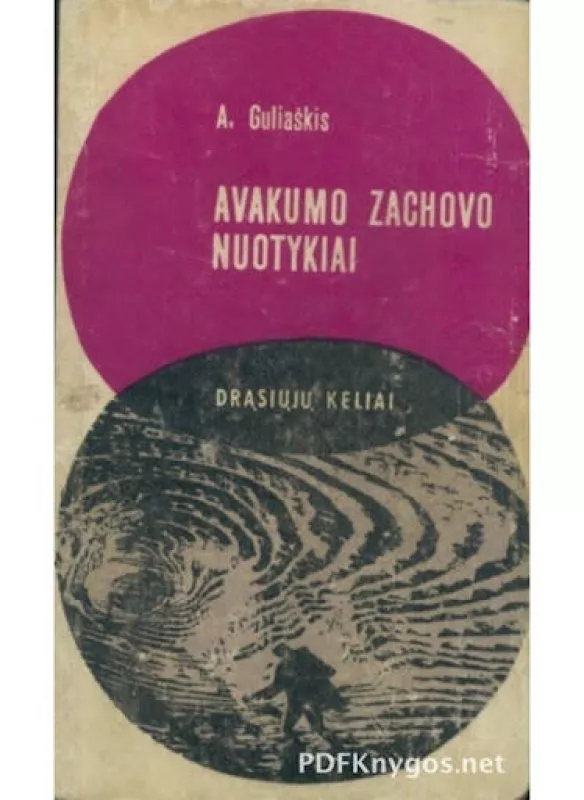 Avakumo Zachovo nuotykiai - Andrejus Guliaškis, knyga