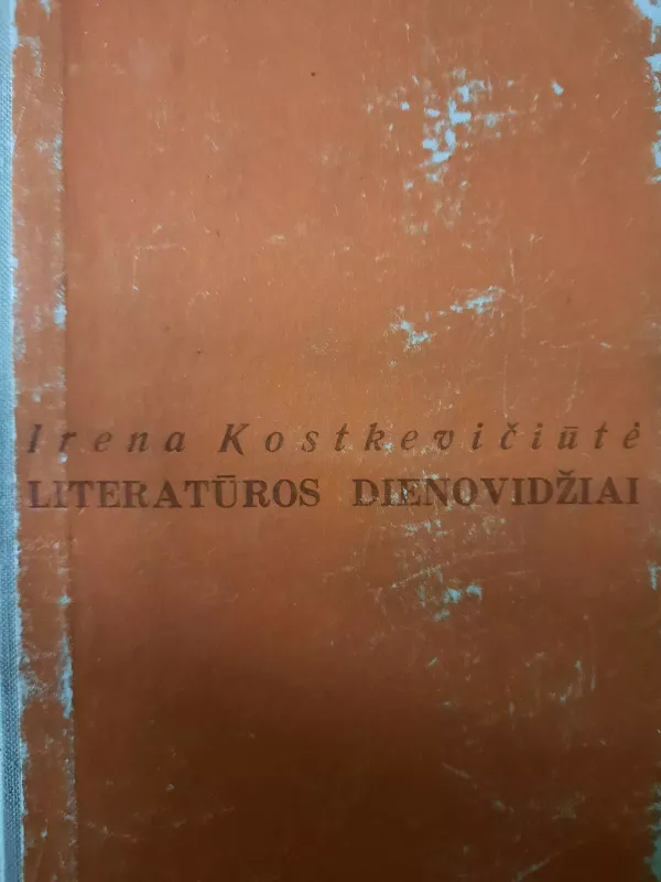 Literatūros dienovidžiai - Irena Kostkevičiūtė, knyga