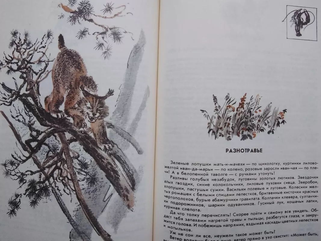 Азбука леса - Н. Сладков, knyga