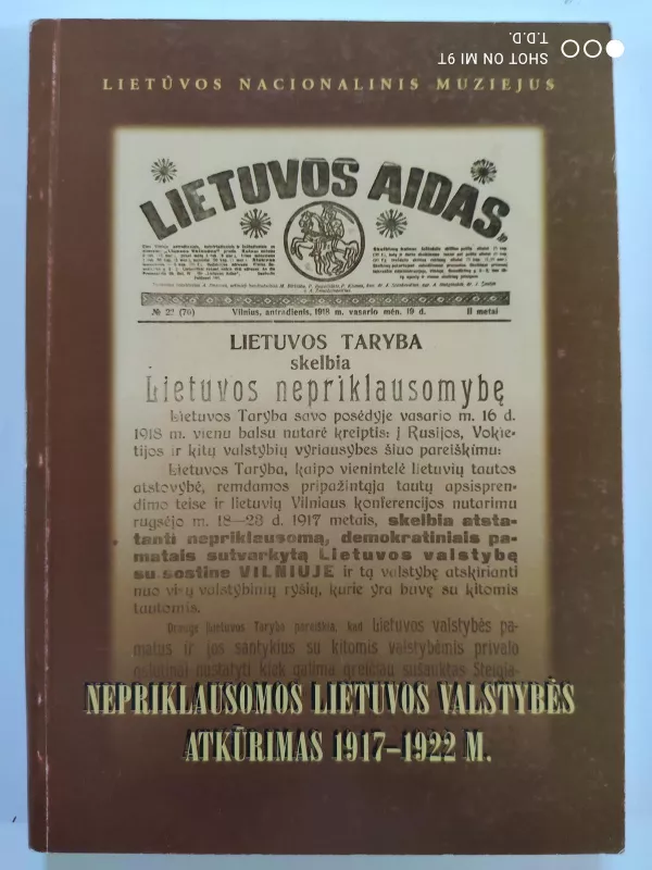Nepriklausomos Lietuvos valstybės atkūrimas 1917–1922 m. - Birutė Kulnytė, knyga