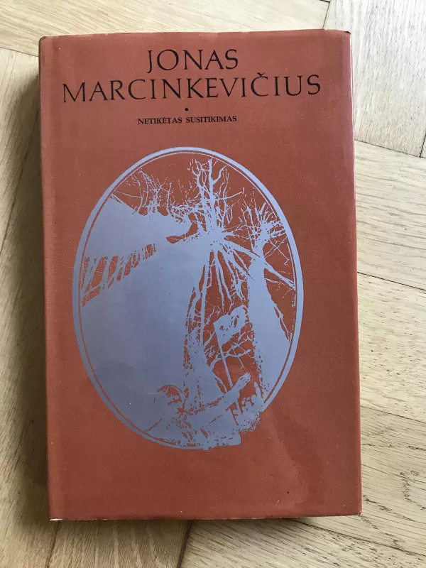 Netikėtas susitikimas - Jonas Marcinkevičius, knyga