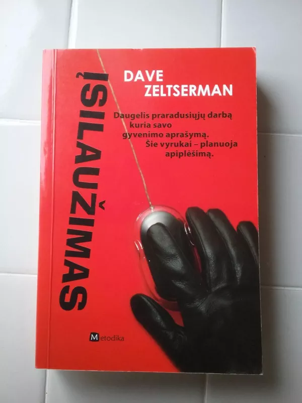 Įsilaužimas - Dave Zeltserman, knyga