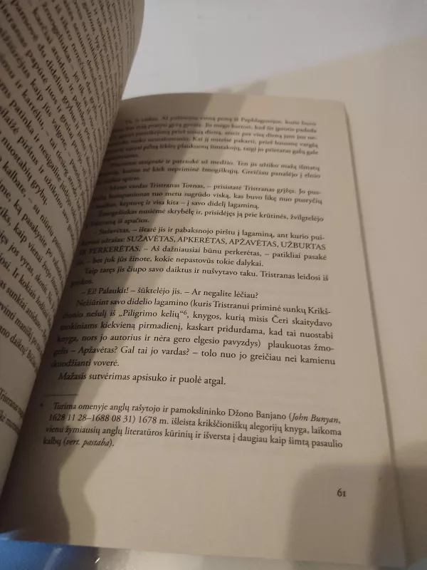 Žvaigždžių dulkės - Neil Gaiman, knyga