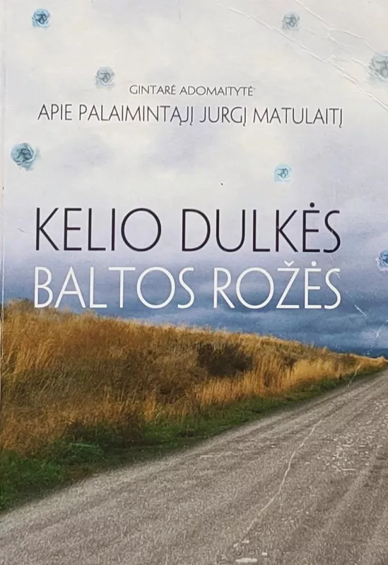 Kelio dulkės, baltos rožės - Gintarė Adomaitytė, knyga