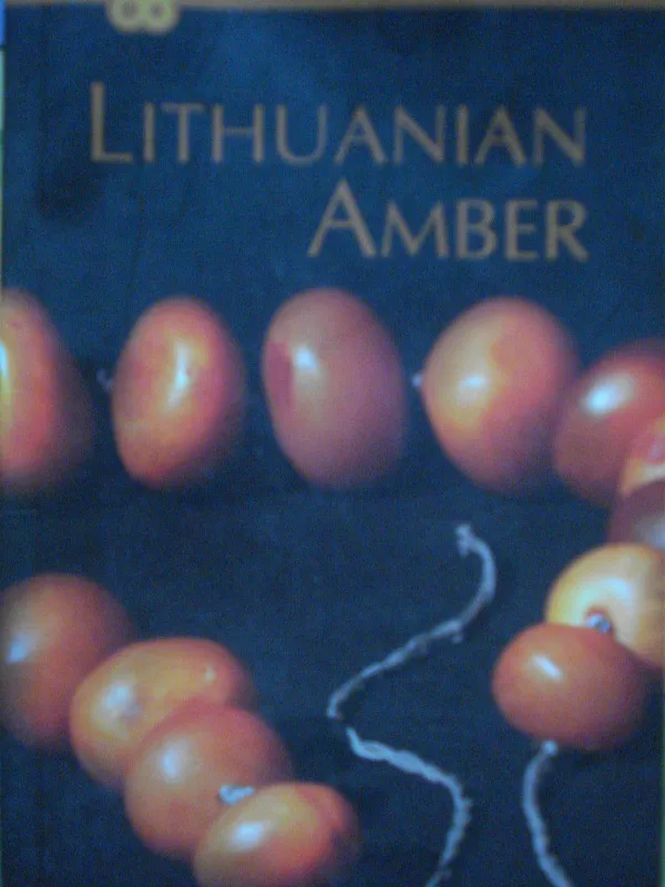 Lithuanian Amber - Gintautas Mažeikis, knyga