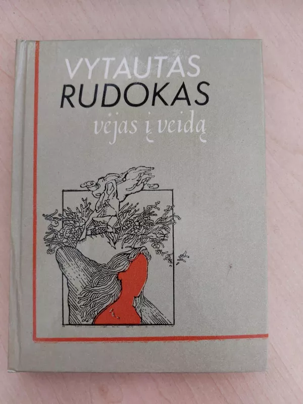 Vėjas į veidą - Vytautas Rudokas, knyga