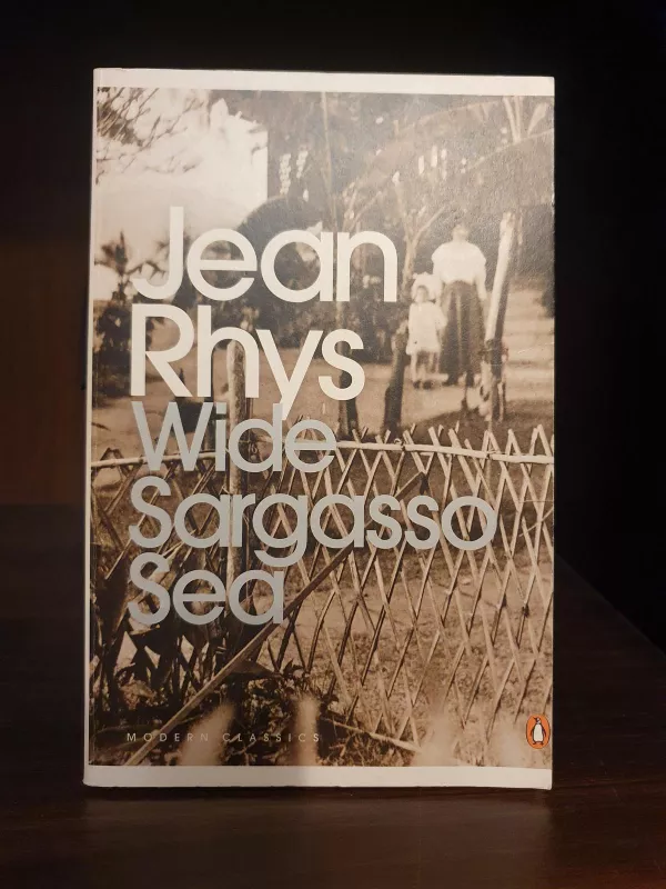 Wide Sargasso Sea - Jean Rhys, knyga
