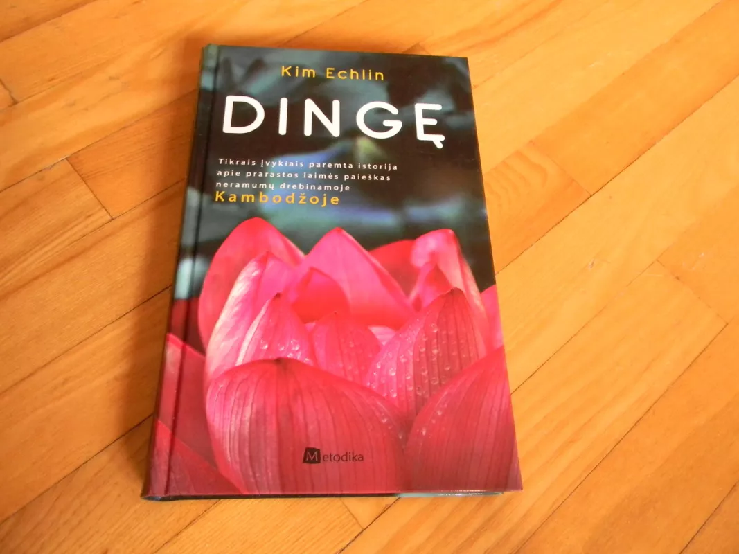 Dingę - Kim Echlin, knyga