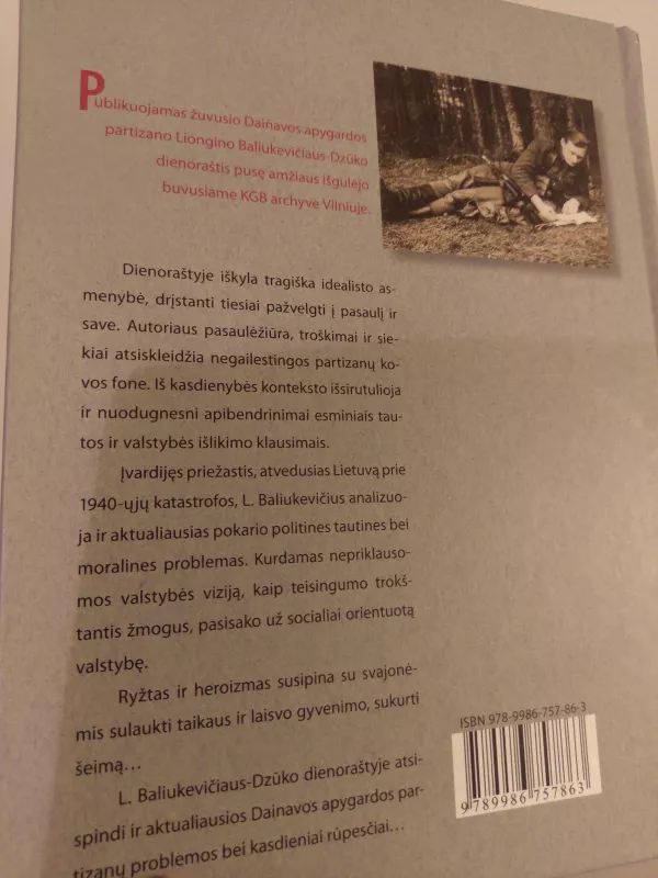 Liongino Baliukevičiaus-partizano Dzūko dienoraštis - Algis Kašėta, knyga