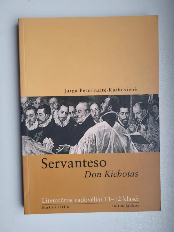 Servanteso Don Kichotas - Jurga Perminaitė, knyga