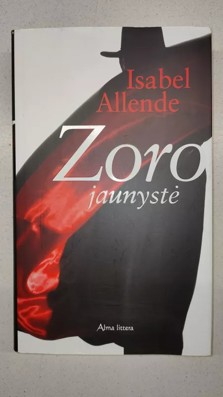 Zoro jaunystė - Isabel Allende, knyga