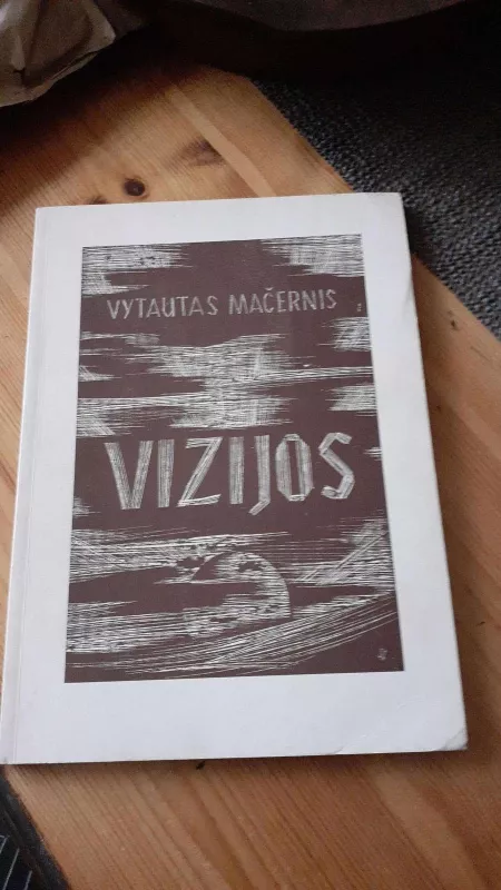 Vizijos: pomirtinė poezijos knyga. - Vytautas Mačernis, knyga
