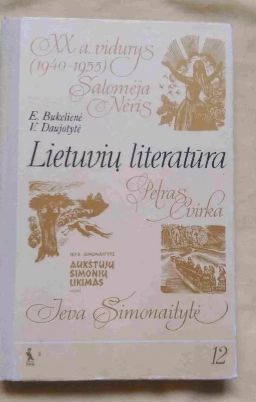 Lietuvių literatūra. XX a. vidurys (1940-1955) - Elena Bukelienė, knyga
