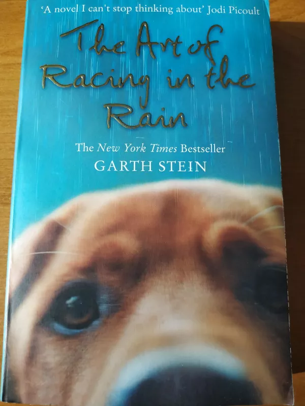 The Art of Racing in the Rain - Garth Stein, knyga