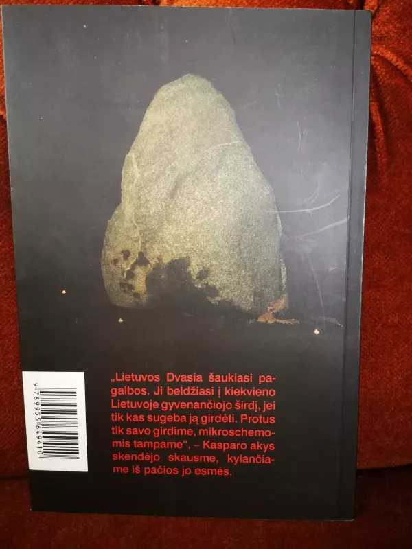 Lietuvos šauksmas - Audronė Ilgevičienė, knyga