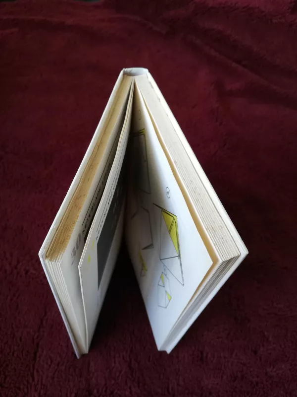 Susipažinkime- origamis - J. Paulionytė, knyga