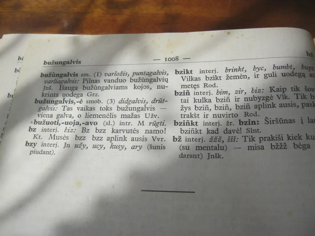 Lietuvių kalbos žodynas (1 tomas) - Autorių Kolektyvas, knyga