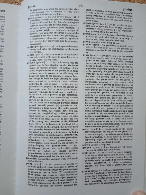 Harrap's Standard Learne'rs Englis Dictionary - nn Harraps, knyga