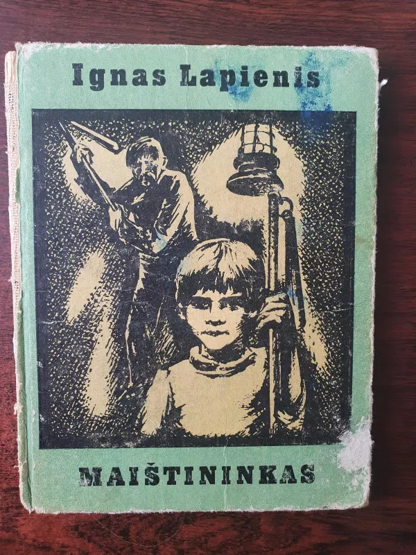 Maištininkas - Ignas Lapienis, knyga