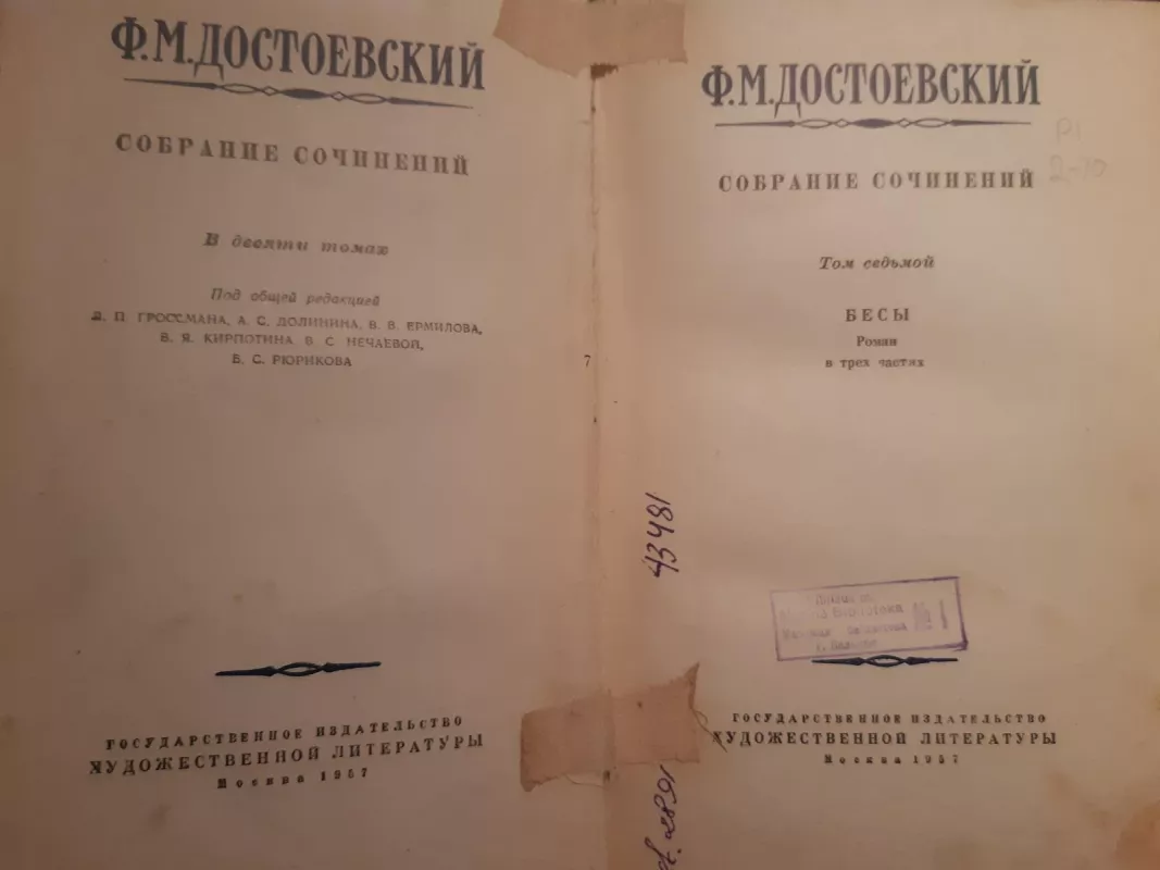 Raštai (2-10) tomai - Fiodoras Dostojevskis, knyga