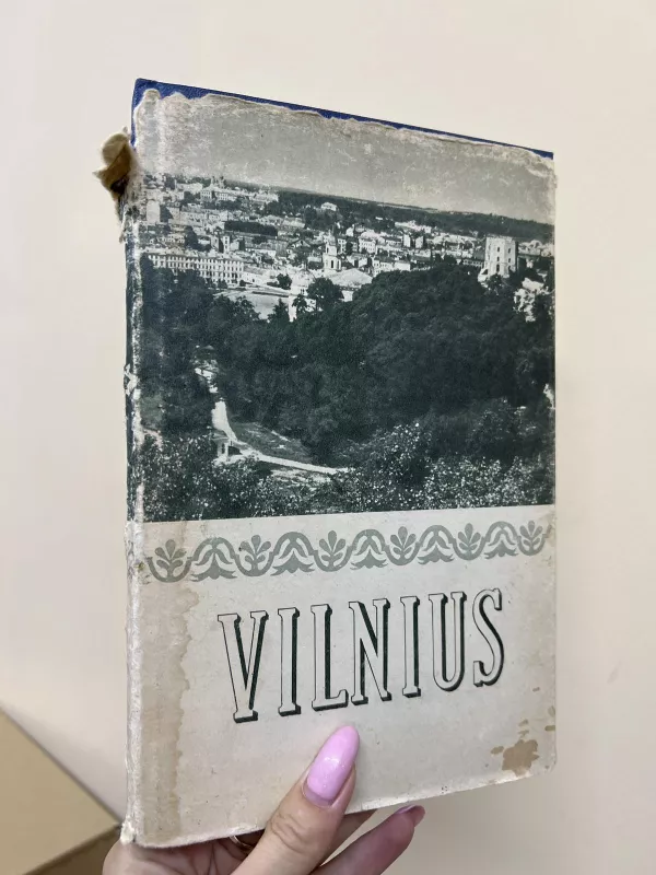 Vilnius. Tarybų Lietuvos sostinė - J. Jurginis, knyga