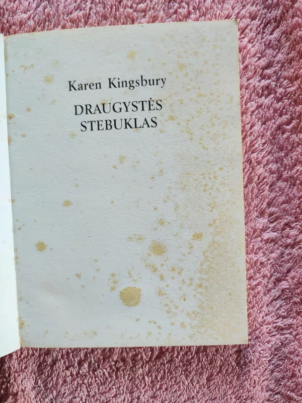 Draugystės Stebuklas - Karen Kingsbury, knyga