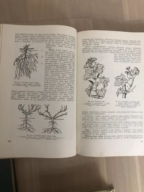 Sodininkystė - V. Venskutonis, knyga