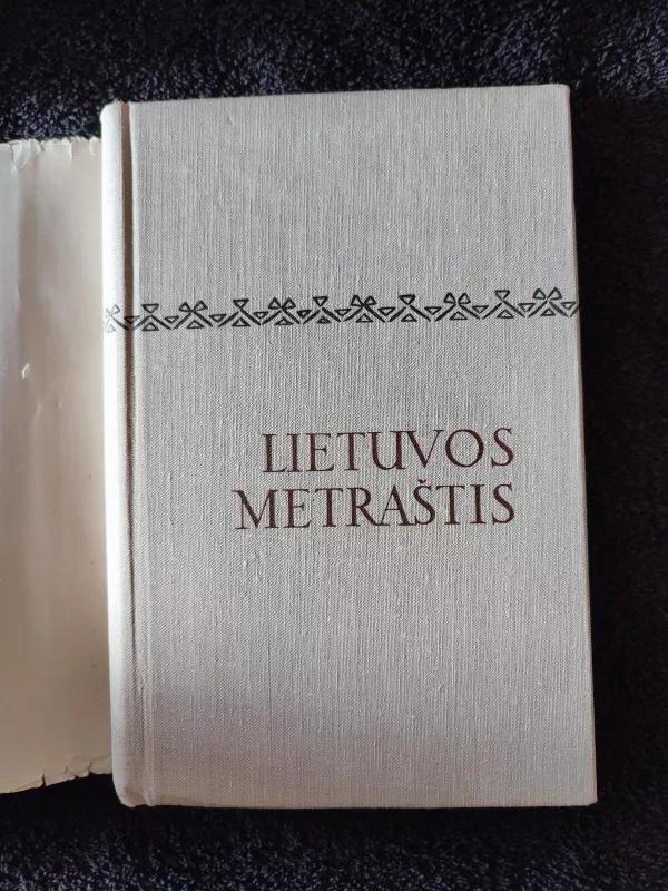 Lietuvos metraštis - Autorių Kolektyvas, knyga