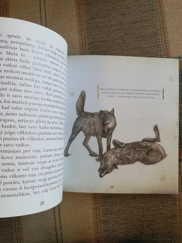 Vilkai - Selemonas Paltanavičius, knyga