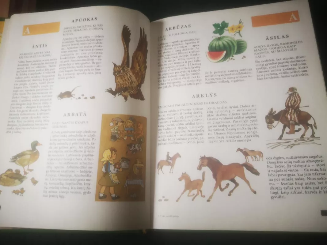 Vaikų enciklopedija - Autorių Kolektyvas, knyga