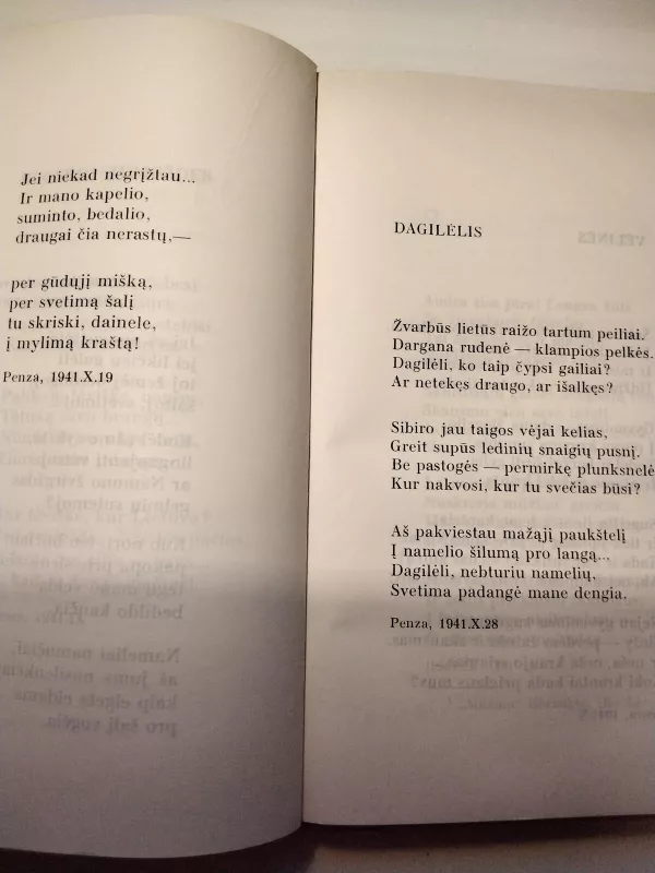 Poezija (II tomas) - Salomėja Nėris, knyga