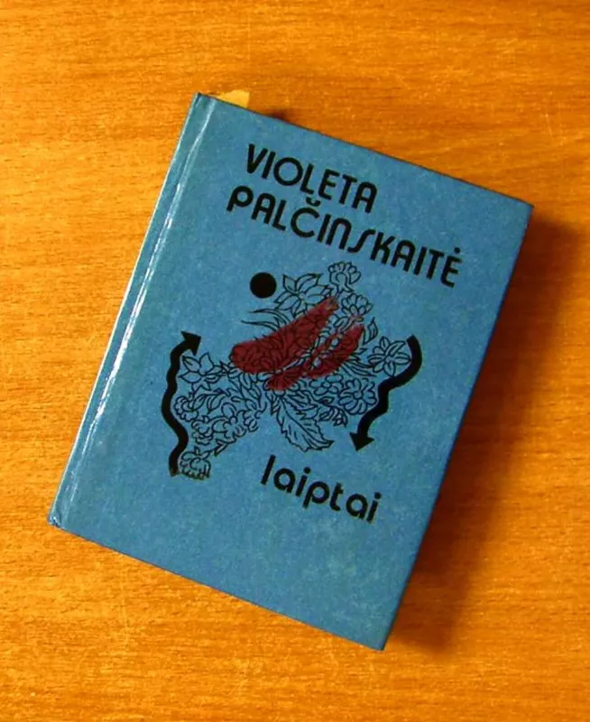 Laiptai - Violeta Palčinskaitė, knyga