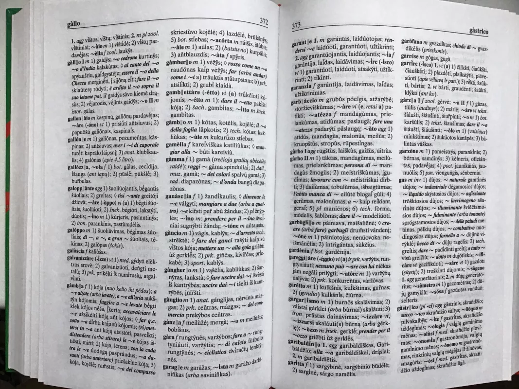 Italų - lietuvių kalbų žodynas - Valdas V. Petrauskas, knyga